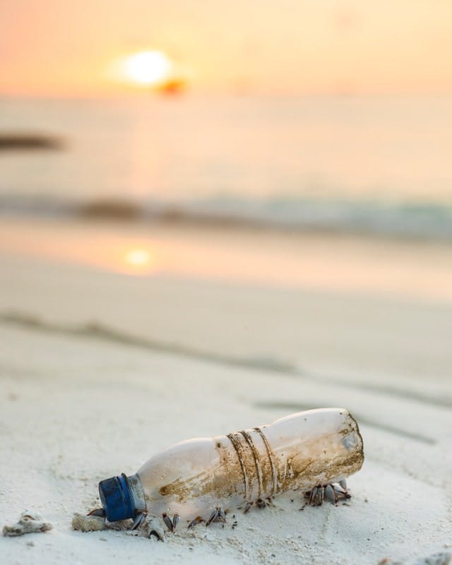 Find plastic-free products to reduce plastic pollution.